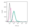 Anti-Somatostatin Receptor Type 2 (extracellular)-FITC Antibody