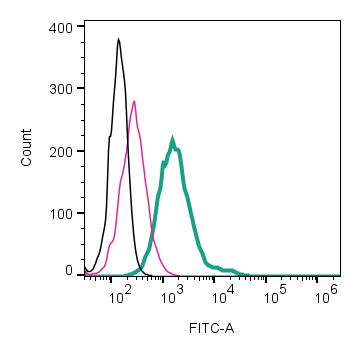 Anti-Somatostatin Receptor Type 2 (extracellular)-FITC Antibody