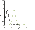 Anti-S1PR3 (EDG3) (extracellular)-ATTO Fluor-488 Antibody