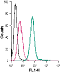 Anti-S1PR3 (EDG3) (extracellular)-FITC Antibody