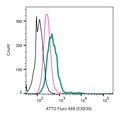 Anti-5HT1B Receptor (HTR1B) (extracellular)-ATTO Fluor-488 Antibody