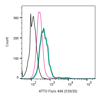 Anti-5HT1B Receptor (HTR1B) (extracellular)-ATTO Fluor-488 Antibody
