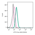 Anti-5HT2B Receptor (HTR2B) (extracellular)-ATTO Fluor-488 Antibody