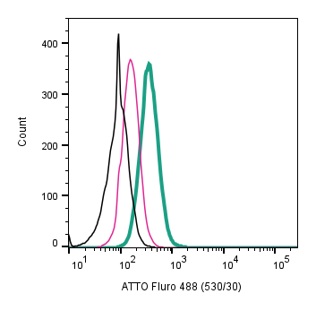 Anti-5HT2B Receptor (HTR2B) (extracellular)-ATTO Fluor-488 Antibody