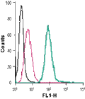 Anti-5HT4 Receptor (HTR4) (extracellular)-FITC Antibody