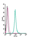Anti-5HT7 Receptor/HTR7 (extracellular)-FITC Antibody