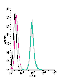 Anti-5HT7 Receptor/HTR7 (extracellular)-FITC Antibody