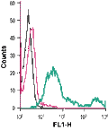 Anti-Semaphorin 4D (SEMA4D) (extracellular)-FITC Antibody