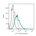 Anti-Neurokinin 1 Receptor (NK1R) (extracellular)-ATTO Fluor-488 Antibody