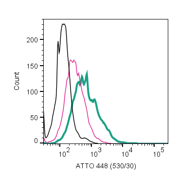 Anti-Neurokinin 1 Receptor (NK1R) (extracellular)-ATTO Fluor-488 Antibody