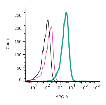 Anti-Neurokinin 1 Receptor (NK1R) (extracellular)-APC Antibody