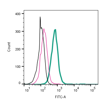 Anti-AXL (extracellular)-FITC Antibody