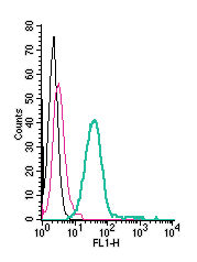 Anti-MERTK (extracellular)-FITC Antibody