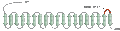 Anti-VDAC Antibody