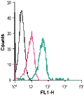 Anti-VPAC1 (VIPR1) (extracellular)-FITC Antibody