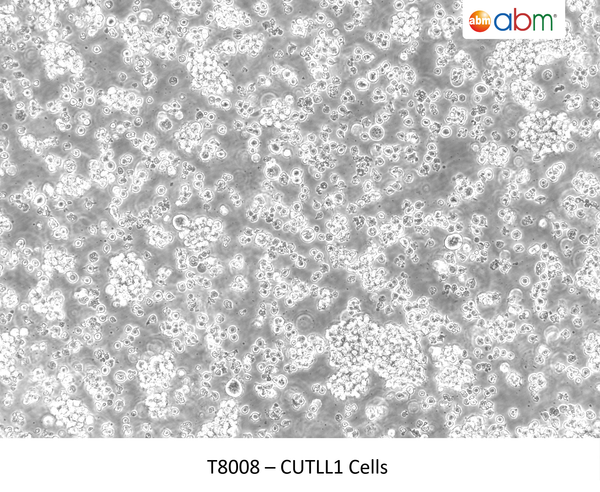 CUTLL1 Cells | Applied Biological Materials (abm)