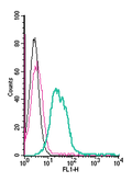 Anti-ZIP6/SLC39A6 (extracellular)-FITC Antibody