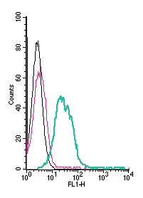 Anti-ZIP6/SLC39A6 (extracellular)-FITC Antibody