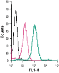 Anti-ZIP8 (SLC39A8) (extracellular)-FITC Antibody