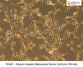 Distant Hepatic Metastasis Tumor Cell Line (T3-HA) | Applied Biological Materials (abm)