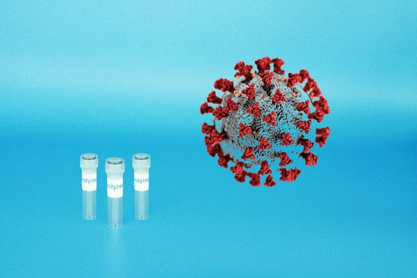 5 Kits - COVID-19 Spike Capture and Detection (HRP conjugate) ELISA pair with calibrator – Figure 1 of 1