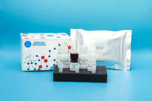 Cetuximab (Erbitux) Pharmacokinetic ELISA (RUO)