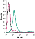 Anti-D2 Dopamine Receptor (extracellular)-FITC Antibody