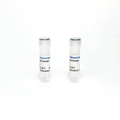 Anti-Human CD19 Mouse Monoclonal Antibody – Figure 1 of 1