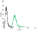 Mouse Anti-Rat p75 NGF Receptor (extracellular)-FITC Antibody