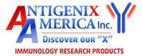 Antigenix America Inc