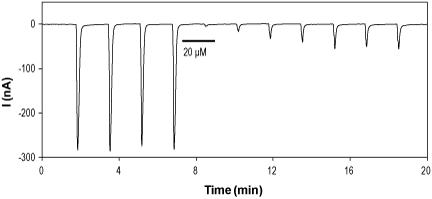 (+)-Bicuculline – Figure 1 of 2