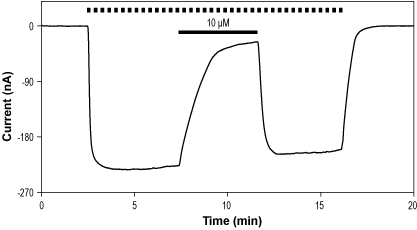 (-)-Bicuculline methochloride – Figure 1 of 2