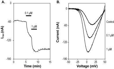 (S)(-)-Bay K8644 – Figure 1 of 2