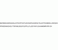 Recombinant human BDNF proDomain (Val66Met) protein
