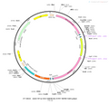 AAV-EF1α-DIO-hM3D(Gq)-EYFP AAV Vector – Chemogenetic actuator (DREADD/PSAM/KORD) – Cre-dependent – EF1α promoter – EYFP reporter – for Chemogenetics – BHV12400090