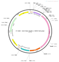 AAV-hSyn-dLight1.1 AAV Vector – Dopamine sensor – Constitutive – hSyn promoter – for Dopamine imaging – BHV12400394