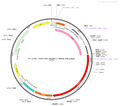 AAV-CAG-dLight1.1 AAV Vector – Dopamine sensor – Constitutive – CAG promoter – for Dopamine imaging – BHV12400400
