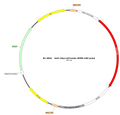 AAV-hSyn-tdTomato AAV Vector – Fluorescent reporter – Constitutive – hSyn promoter – tdTomato reporter – for Cell labeling / tracing – BHV12401135