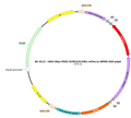AAV-hSyn-fDIO-hChR2(H134R)-mCherry AAV Vector – Optogenetic actuator (opsin) – Constitutive – hSyn promoter – mCherry reporter – for Optogenetics – BHV12401277