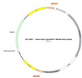 AAV-hSyn-jGCaMP7f AAV Vector – Calcium indicator – Constitutive – hSyn promoter – for Calcium imaging – BHV12401510