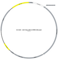 AAV-hSyn-VIP1.0 AAV Vector – Constitutive – hSyn promoter – BHV12401931