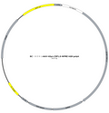 AAV-hSyn-CRF1.0 AAV Vector – Constitutive – hSyn promoter – BHV17100076
