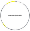 AAV-hSyn-AVP1.0 AAV Vector – Constitutive – hSyn promoter – BHV17100081