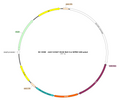 AAV-hVGAT-NLS-Cre AAV Vector – Transcriptional regulator / recombinase – Constitutive – hVGAT promoter – for Genetic driver / recombination – BHV17100088