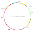 AAV-CaMKIIa-iGABASnFR AAV Vector – GABA sensor – Constitutive – CaMKIIa promoter – for GABA imaging – BHV17100101