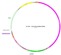 AAV-mTH-GCaMP6s AAV Vector – Calcium indicator – Constitutive – mTH promoter – for Calcium imaging – BHV17100103
