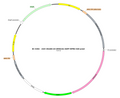 AAV-GfaABC1D-hM4D(Gi)-EGFP AAV Vector – Chemogenetic actuator (DREADD/PSAM/KORD) – Constitutive – GfaABC1D promoter – EGFP reporter – for Chemogenetics – BHV17100116