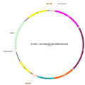 AAV-mDlx-Flpo AAV Vector – Constitutive – mDlx promoter – BHV17100144
