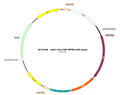 AAV-cFos-Cre AAV Vector – Transcriptional regulator / recombinase – Constitutive – cFos promoter – for Genetic driver / recombination – BHV17100323