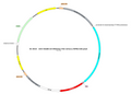 AAV-GfaABC1D-hM3D(Gq)-mCherry AAV Vector – Chemogenetic actuator (DREADD/PSAM/KORD) – Constitutive – GfaABC1D promoter – mCherry reporter – for Chemogenetics – BHV17100382